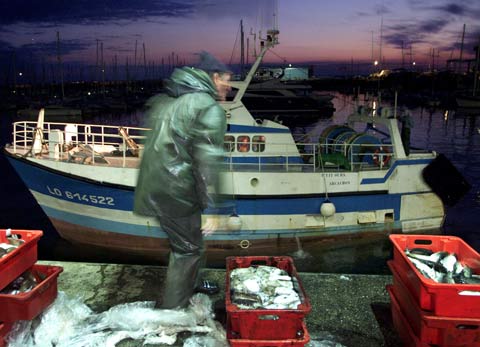 eu_einigt_sich_auf_fischfangquoten_fuer_2008.jpg